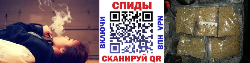 omg рабочий сайт  купить закладку  Пионерский  Бутират бутик 